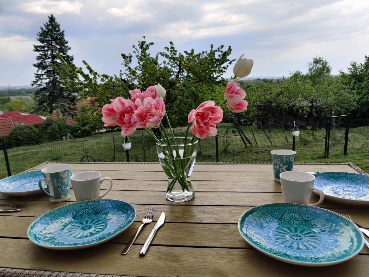 Krisztina Vendeghaz Leanyfalu - Kueloenallo - Itt Csak Ti Vagytok Exterior foto
